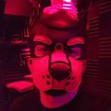 pupsheen from onlyfans